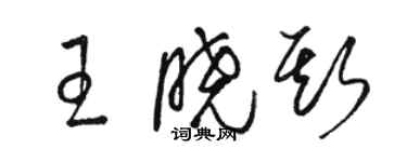骆恒光王晓斯草书个性签名怎么写