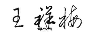 骆恒光王祥梅草书个性签名怎么写