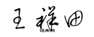 骆恒光王祥田草书个性签名怎么写