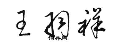 骆恒光王羽祥草书个性签名怎么写