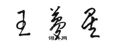 骆恒光王梦星草书个性签名怎么写