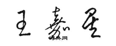 骆恒光王嘉星草书个性签名怎么写