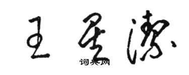 骆恒光王星洁草书个性签名怎么写