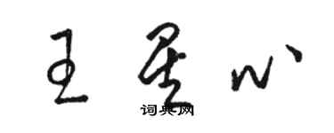 骆恒光王星心草书个性签名怎么写