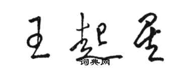 骆恒光王起星草书个性签名怎么写