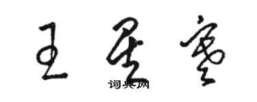 骆恒光王星寒草书个性签名怎么写