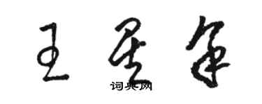 骆恒光王星余草书个性签名怎么写