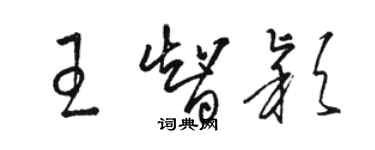 骆恒光王智颖草书个性签名怎么写