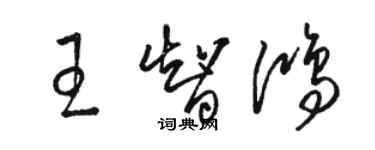 骆恒光王智鸿草书个性签名怎么写
