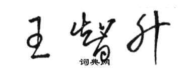 骆恒光王智升草书个性签名怎么写