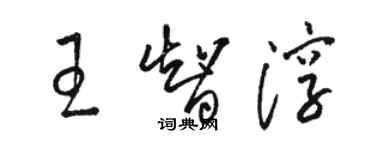 骆恒光王智淳草书个性签名怎么写