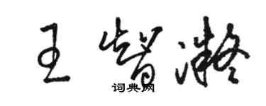 骆恒光王智凝草书个性签名怎么写