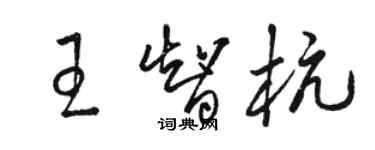 骆恒光王智杭草书个性签名怎么写