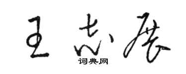 骆恒光王志展草书个性签名怎么写