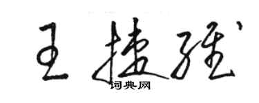 骆恒光王捷维草书个性签名怎么写