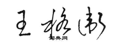 骆恒光王格卫草书个性签名怎么写