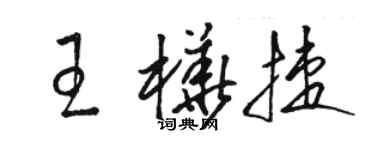 骆恒光王桦捷草书个性签名怎么写