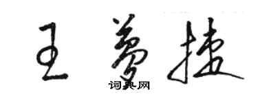 骆恒光王梦捷草书个性签名怎么写