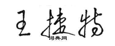 骆恒光王捷特草书个性签名怎么写