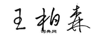骆恒光王柏森草书个性签名怎么写