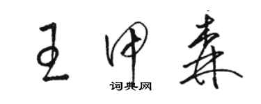 骆恒光王甲森草书个性签名怎么写