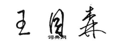 骆恒光王目森草书个性签名怎么写