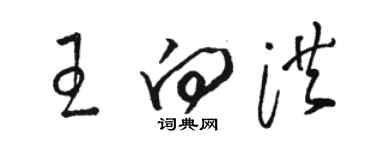 骆恒光王向洪草书个性签名怎么写