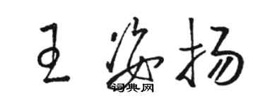骆恒光王姿扬草书个性签名怎么写