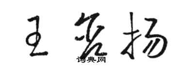 骆恒光王含扬草书个性签名怎么写