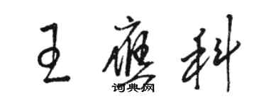 骆恒光王应科草书个性签名怎么写