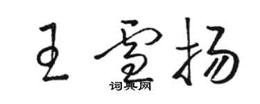 骆恒光王雪扬草书个性签名怎么写