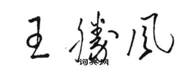 骆恒光王胜风草书个性签名怎么写