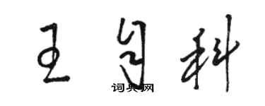 骆恒光王自科草书个性签名怎么写