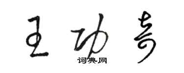 骆恒光王功奇草书个性签名怎么写