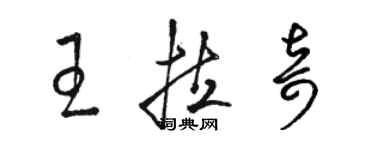 骆恒光王拉奇草书个性签名怎么写