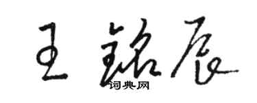 骆恒光王铭辰草书个性签名怎么写