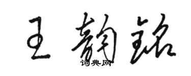 骆恒光王韵铭草书个性签名怎么写