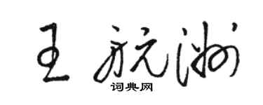 骆恒光王航洲草书个性签名怎么写