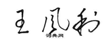 骆恒光王风利草书个性签名怎么写