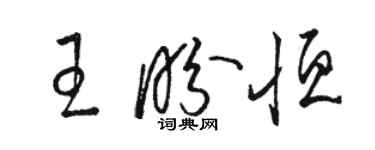 骆恒光王盼恒草书个性签名怎么写
