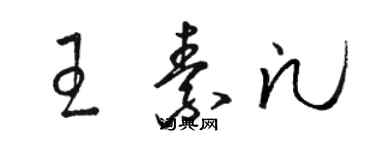 骆恒光王素凡草书个性签名怎么写