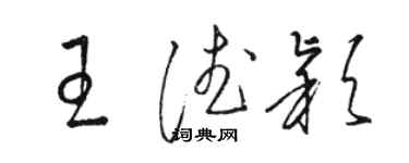 骆恒光王德颖草书个性签名怎么写