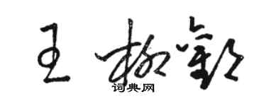 骆恒光王柳欢草书个性签名怎么写