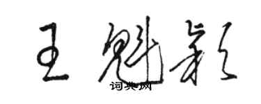 骆恒光王魁颖草书个性签名怎么写