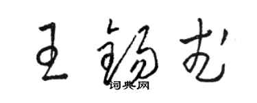 骆恒光王锡武草书个性签名怎么写