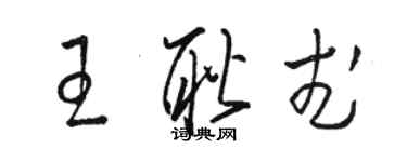 骆恒光王耿武草书个性签名怎么写