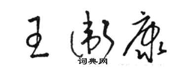 骆恒光王卫康草书个性签名怎么写