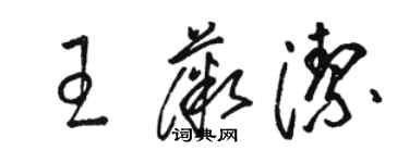 骆恒光王薇洁草书个性签名怎么写