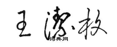 骆恒光王洁枚草书个性签名怎么写
