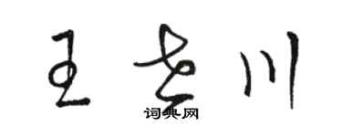 骆恒光王世川草书个性签名怎么写